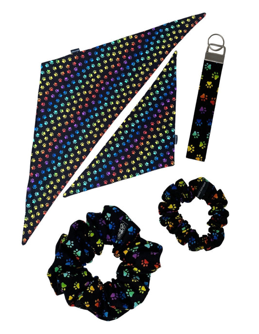 PAWS accessories (items in description)